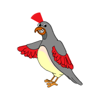 Parrots Animals Parrots Animals