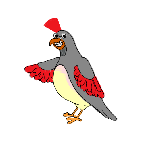 Parrots Animals Parrots Animals