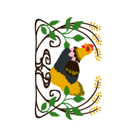 Parrots Animals Parrots Animals