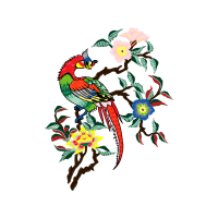 Parrots Animals Parrots Animals