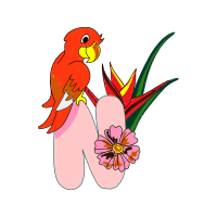 Parrots Animals Parrots Animals