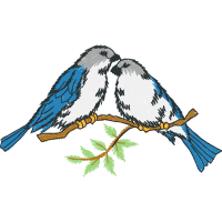 Parrots Animals Parrots Animals