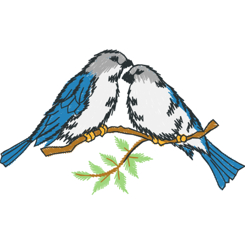 Parrots Animals Parrots Animals