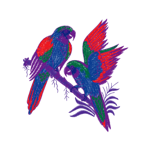 Parrots Animals Parrots Animals