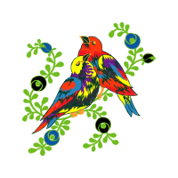 Parrots Animals Parrots Animals