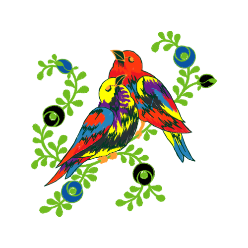 Parrots Animals Parrots Animals