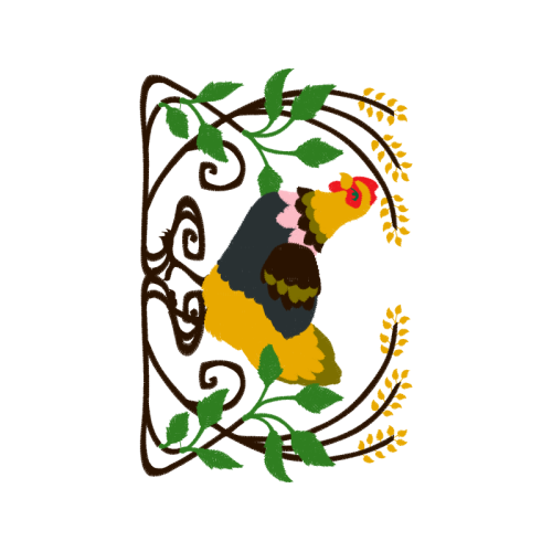 Parrots Animals Parrots Animals