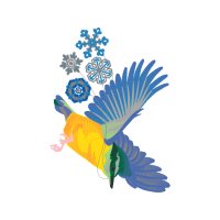 Parrots Animals Parrots Animals