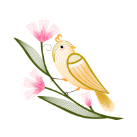 Parrots Animals Parrots Animals