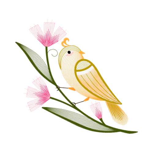 Parrots Animals Parrots Animals