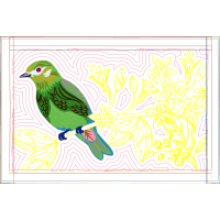 Parrots Animals Parrots Animals