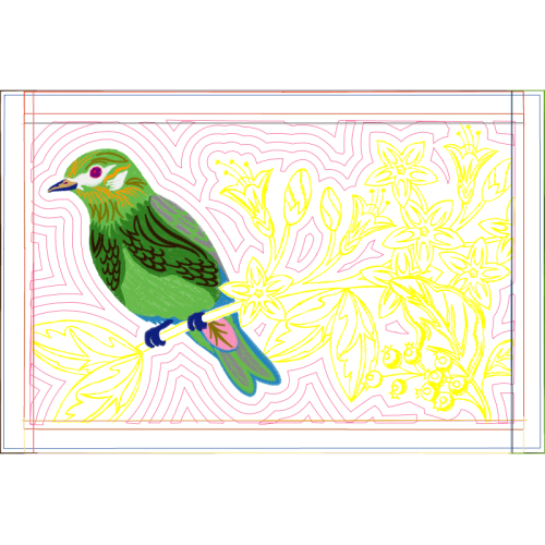 Parrots Animals Parrots Animals