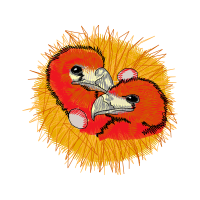 Parrots Animals Parrots Animals