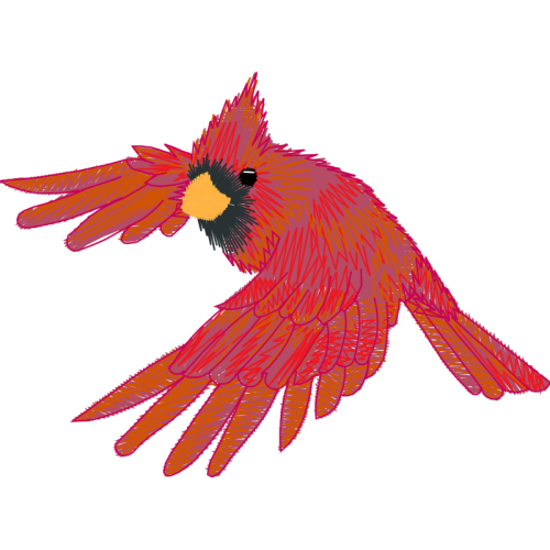 Parrots Animals Parrots Animals