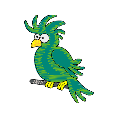 Parrots Animals Parrots Animals