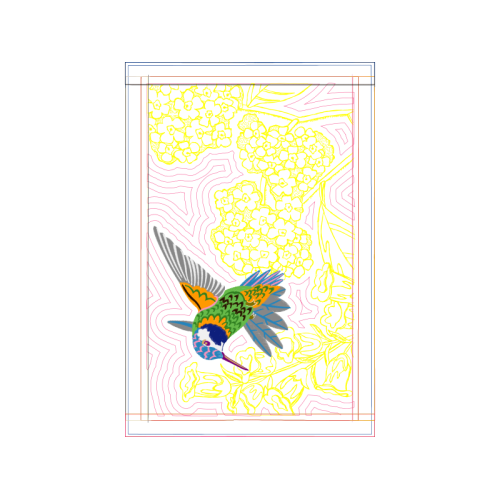 Parrots Animals Parrots Animals