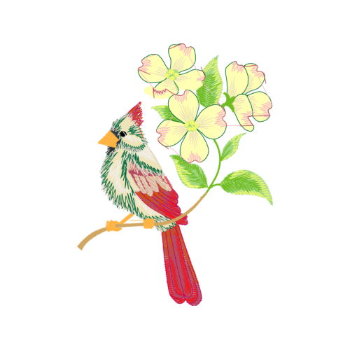 Passerine Animals Passerine Animals