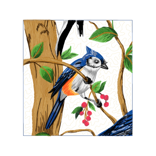 Passerine Animals Passerine Animals