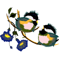 Passerine Animals Passerine Animals