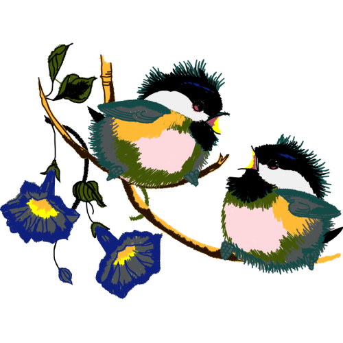 Passerine Animals Passerine Animals