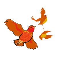 Passerine Animals Passerine Animals