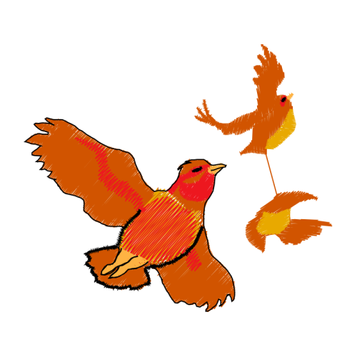 Passerine Animals Passerine Animals