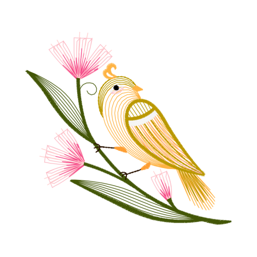 Passerine Animals Passerine Animals