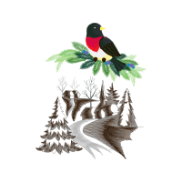 Passerine Animals Passerine Animals