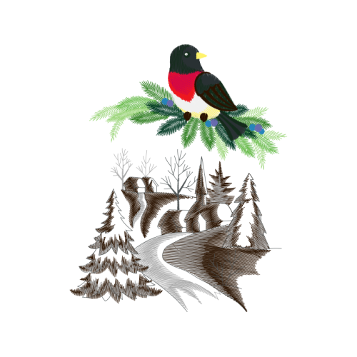 Passerine Animals Passerine Animals