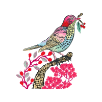 Passerine Animals Passerine Animals