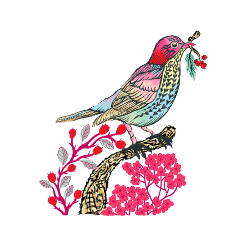 Passerine Animals Passerine Animals