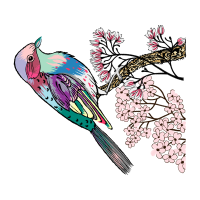 Passerine Animals Passerine Animals