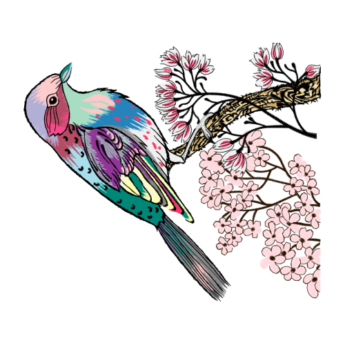 Passerine Animals Passerine Animals