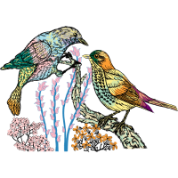 Passerine Animals Passerine Animals