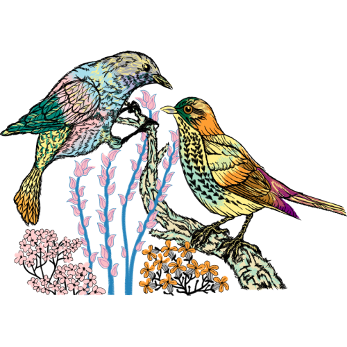 Passerine Animals Passerine Animals