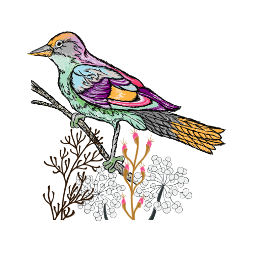 Passerine Animals Passerine Animals