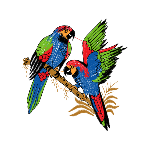 Passerine Animals Passerine Animals