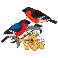 Passerine Animals Passerine Animals