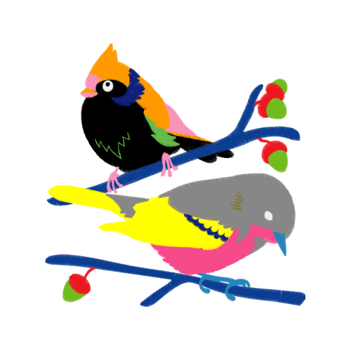 Passerine Animals Passerine Animals