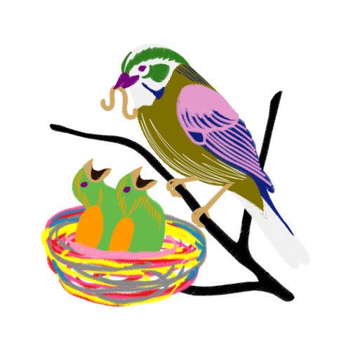 Passerine Animals Passerine Animals