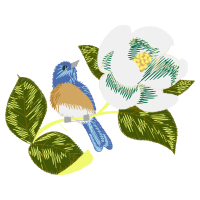 Passerine Animals Passerine Animals