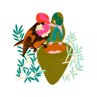 Passerine Animals Passerine Animals