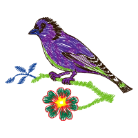 Passerine Animals Passerine Animals