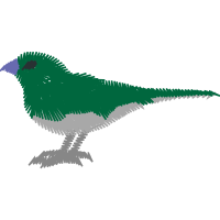 Passerine Animals Passerine Animals