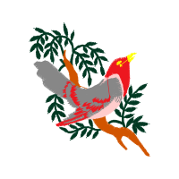 Passerine Animals Passerine Animals