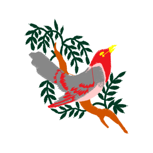 Passerine Animals Passerine Animals