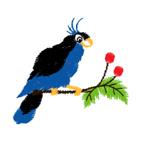 Passerine Animals Passerine Animals