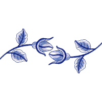 Passerine Animals Passerine Animals