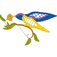 Passerine Animals Passerine Animals