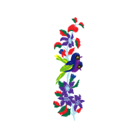Passerine Animals Passerine Animals